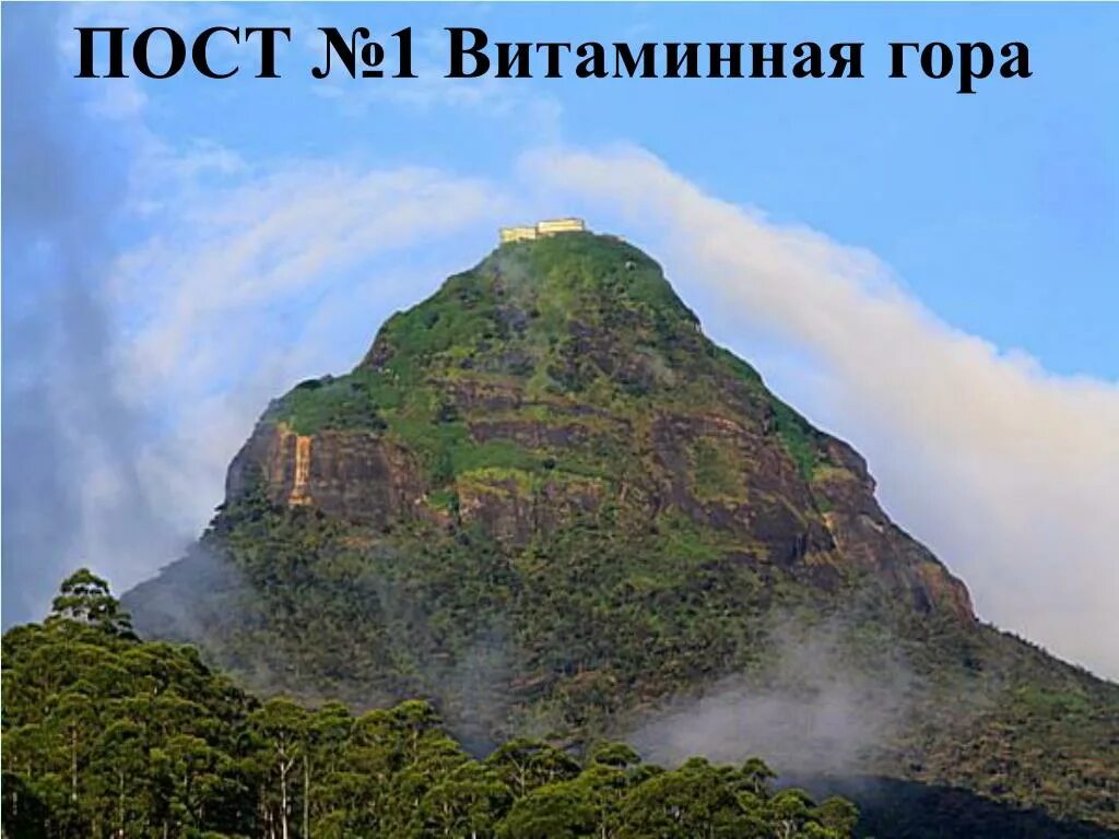 адамов пик шри-ланка. львиная гора сигирия. пидурангала шри ланка гора. гора на шри ланке. адамов пик шри-ланка.