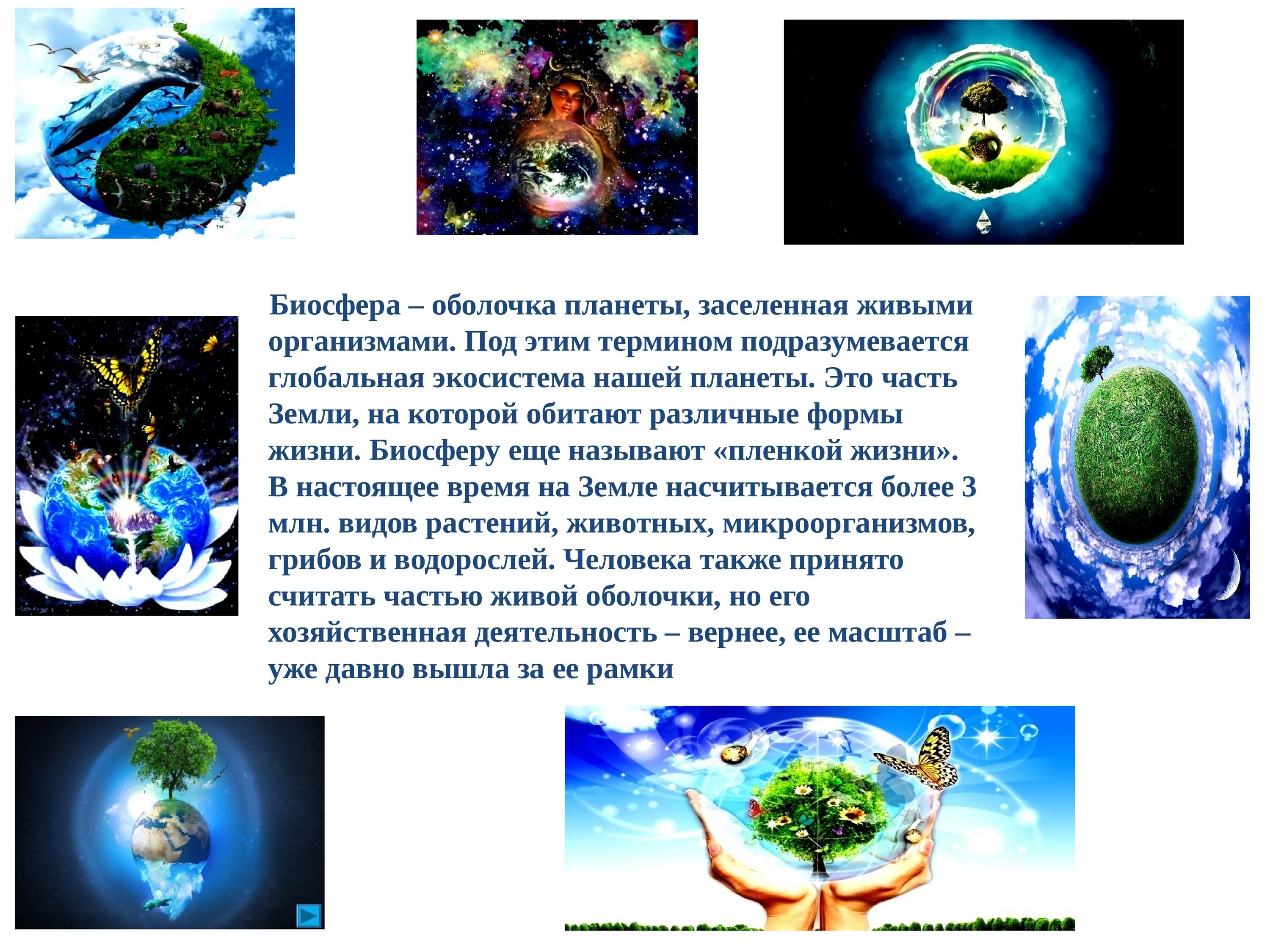 Жизнь организмов на планете земля 5. Презентация Живая Планета. Земля для презентации. Планета земля живые организмы. Живая Планета земля слайд.