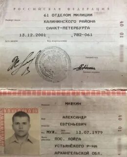 Мишкин данные