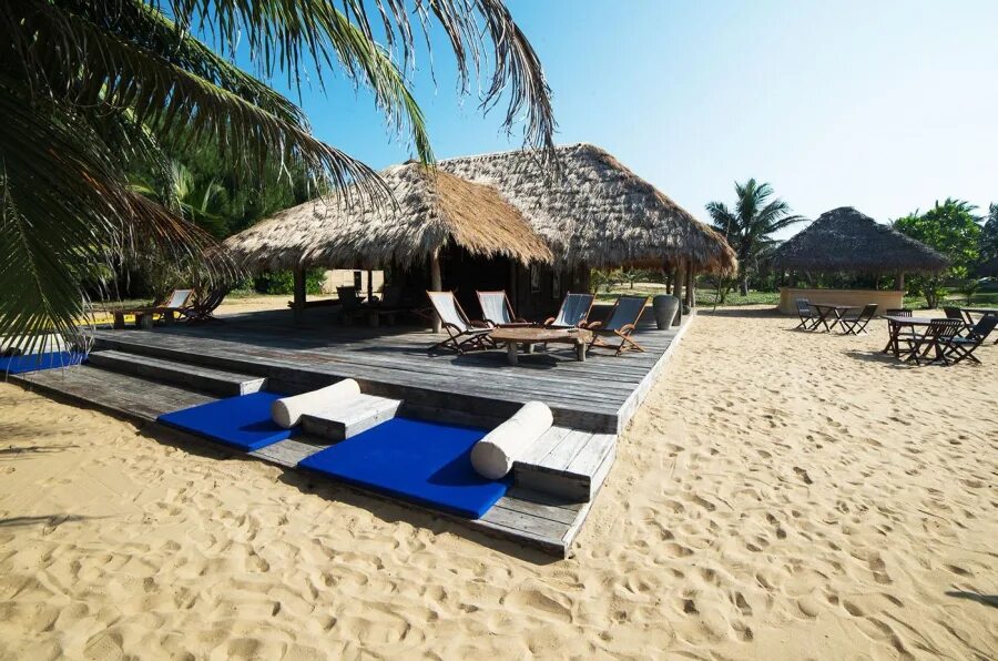 Palumboreef Beach Resort 3*. Reef and Beach Resort 3*. Шри-Ланке — Bar Reef. Ears Reef Шри Ланка. Beach resort 4 шри ланка