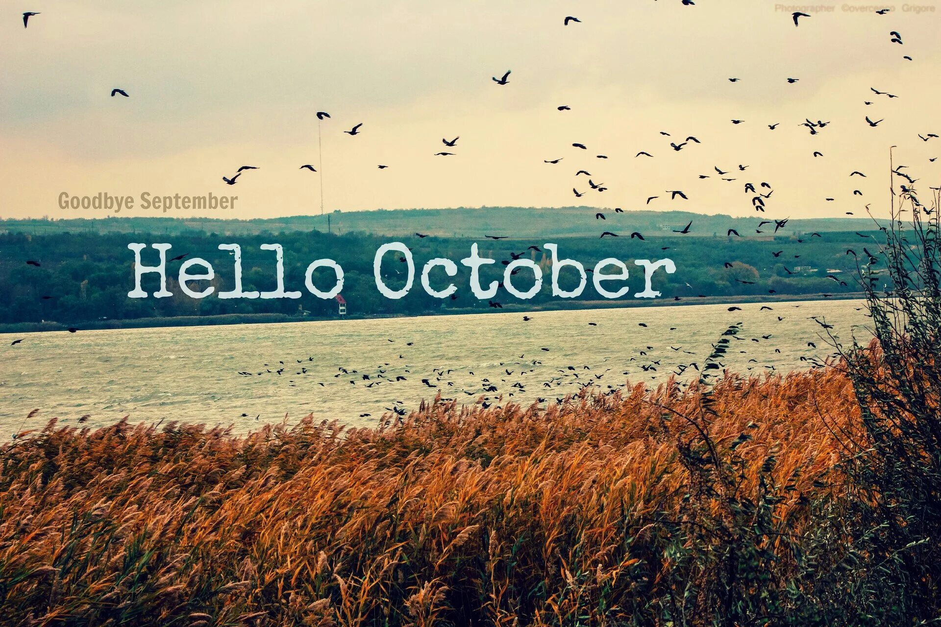 Hello октябрь. Dear october. Мотивирующие фразы про осень. Spiritual affirmation. Happy october.