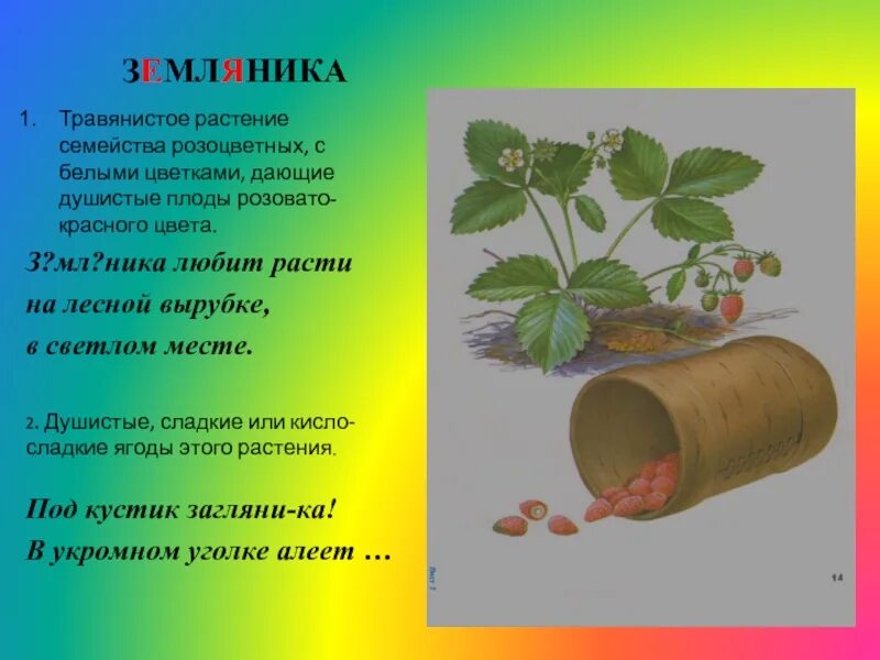 Корне слова земляника. Земляника однокоренные слова. Земляника проверочное слово. Земляника словарное слово. Земляника однокоренные.