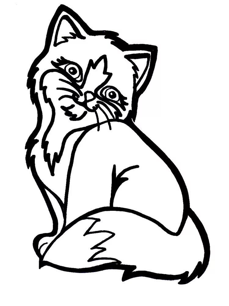 Кошки. Раскраска. Кошка раскраска для детей. Кошка рисунок. Кошка контурный рисунок