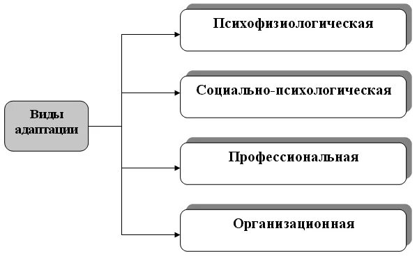 Укажите виды адаптации:. Этапы адаптации персонала таблица. Психофизиологическая адаптация персонала. Виды адаптации. Виды адаптации психофизиологическая психологическая социальная.