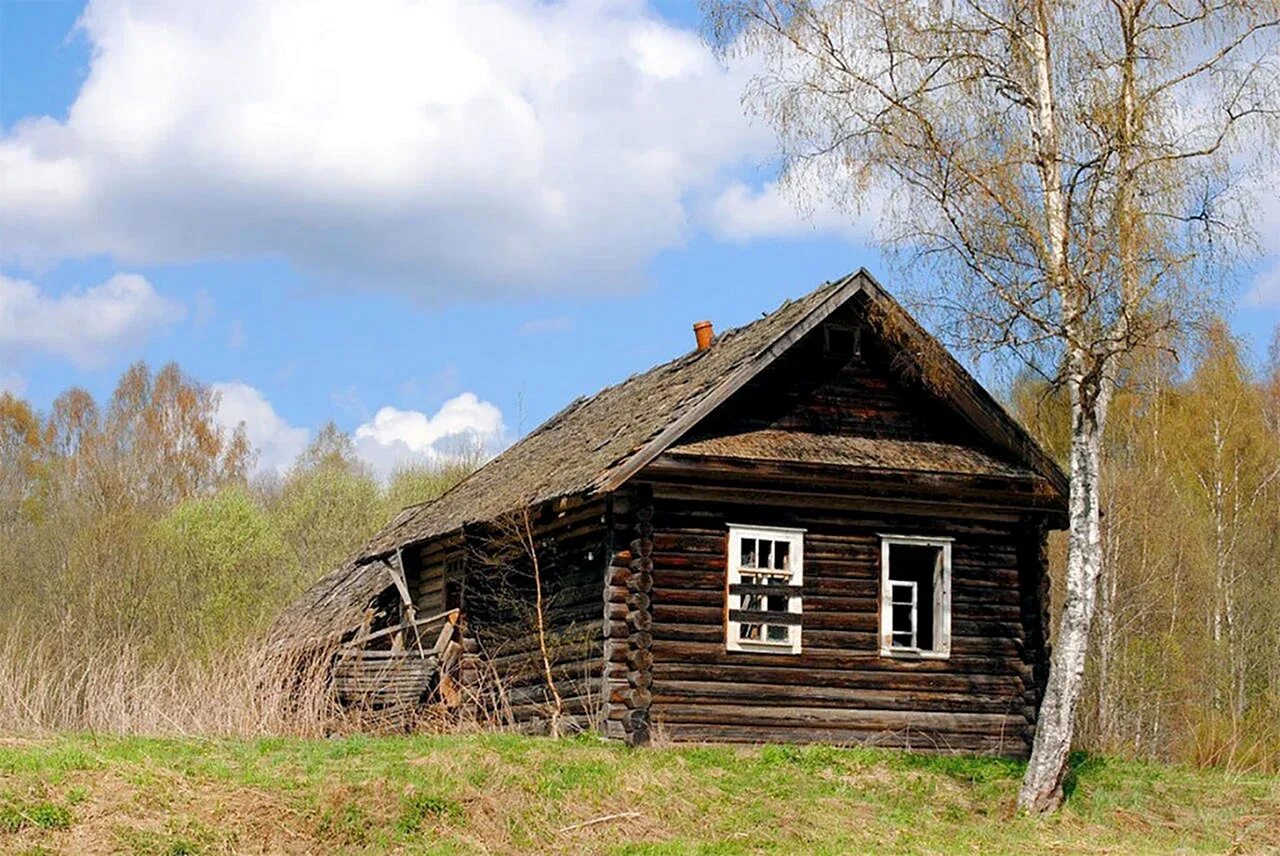 Новгородский пятистенок. Старая деревянная изба. Старая деревянная изба. Сибирская изба пятистенок. Деревенский домик.
