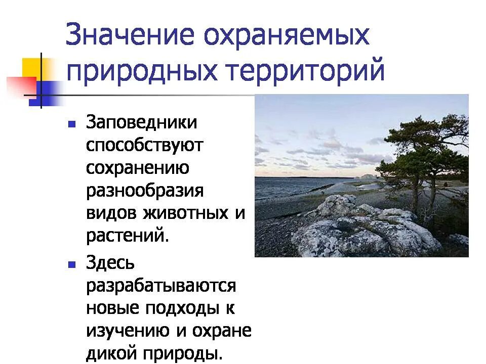 Значение национальный парк заповедник. Охраняемые территории заповедники. Значимость природных охраняемых территорий. Значение ООПТ. Роль заповедников в природе.