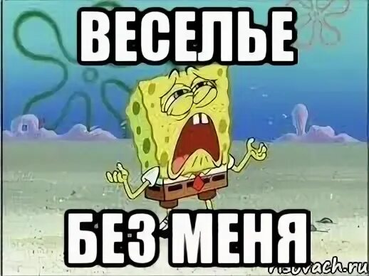 котенок испугался. скучно без меня. без меня празднуете. удивленный котик. бегу бухать.