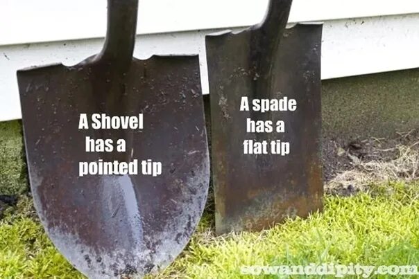 Shovel перевод. Spade Shovel. Spade or Shovel. Shovel vs Spade. Spade and Shovel difference.