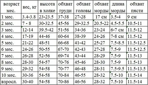 Возраст 9 месяцев рост