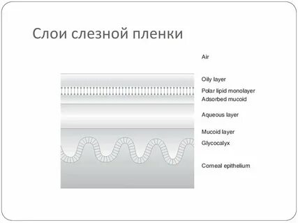 Слой наста