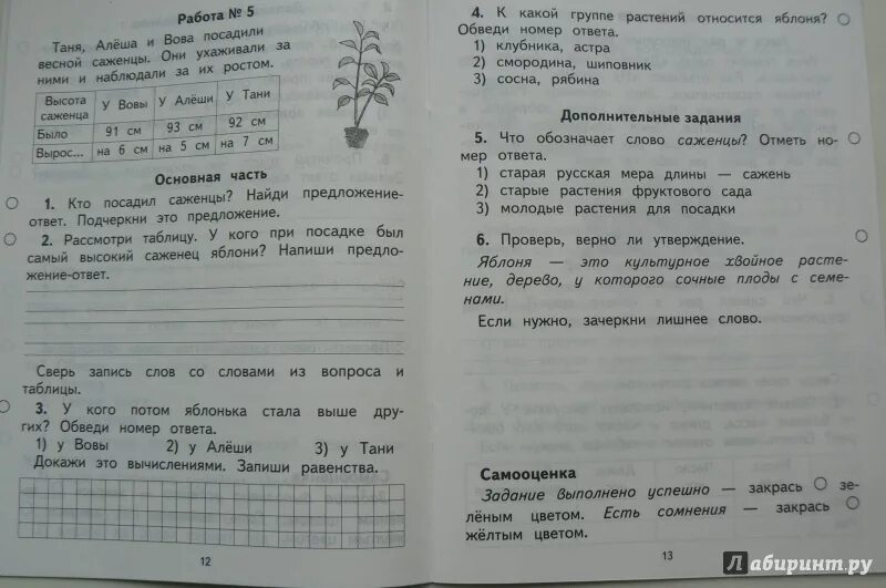 Комплексное задание ответы 4 класса. Обучающие комплексные работы. Комплексные задания 4 класс. Комплексная контрольная для первого класса.