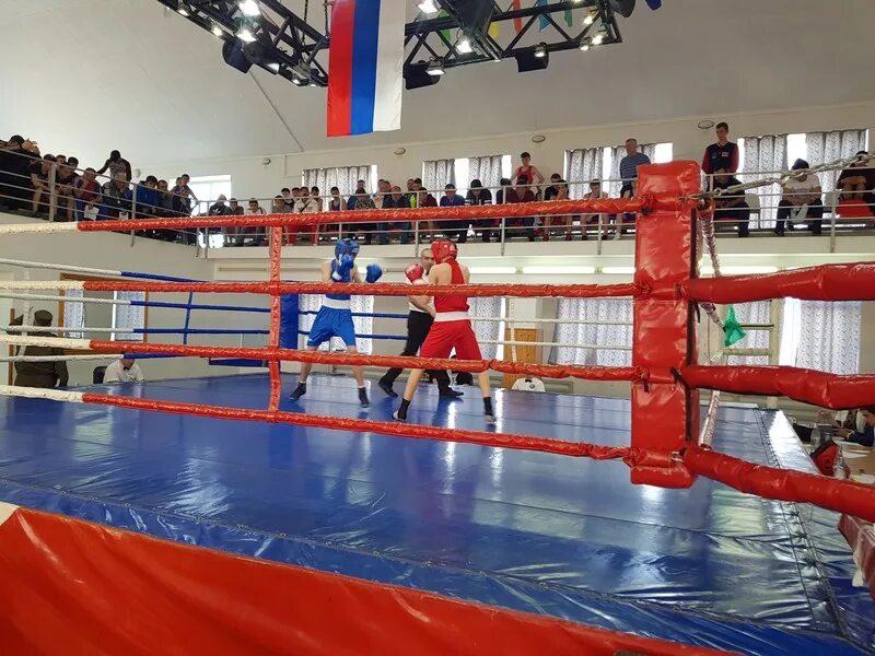 Бокс в ростове на дону. Чемпионат крыма по боксу. Бокс суворовское. Бокс турнир суворовка. Бокс суворовское.