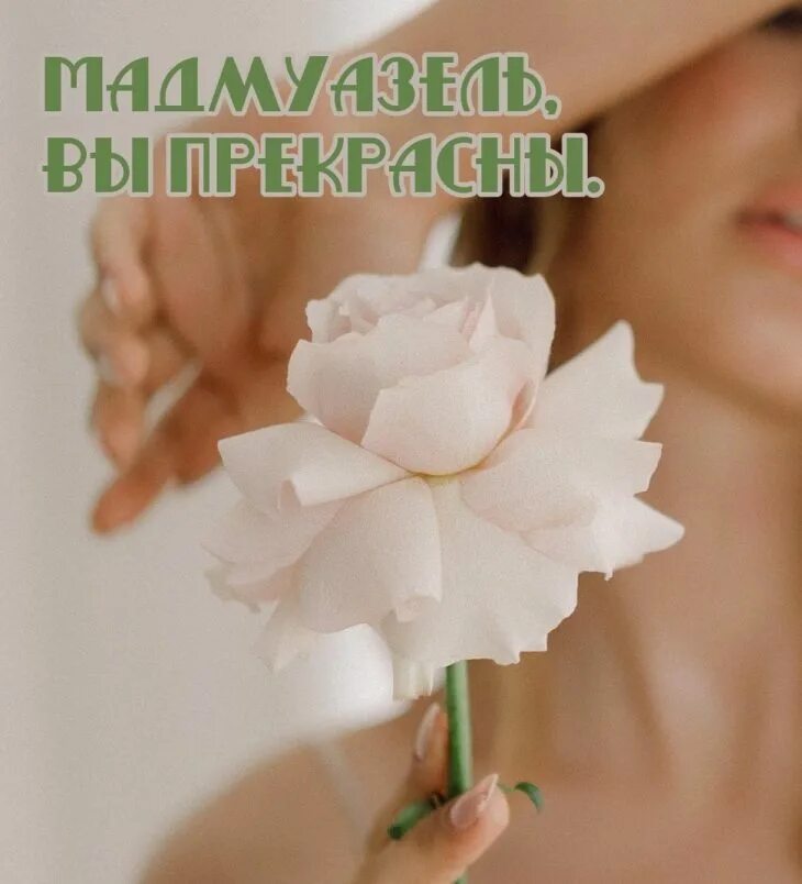 Самые впечатляющие слова
