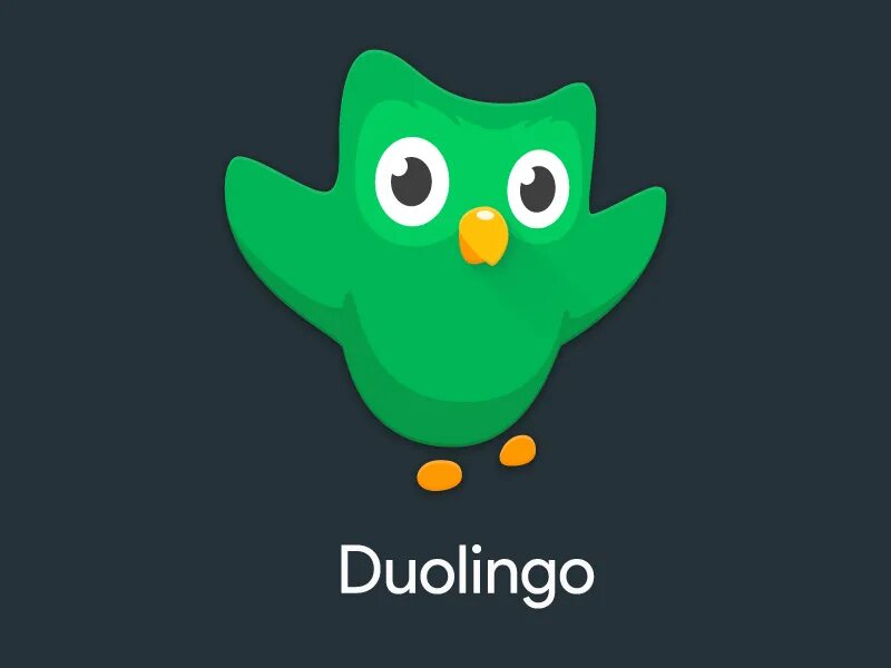 Дуолинго иконка приложения. Duolingo. Иконка приложения Duolingo. Duolingo логотип. Совенок Дуолинго.