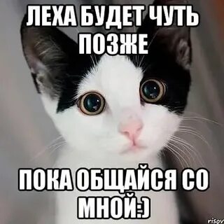Гифка леха