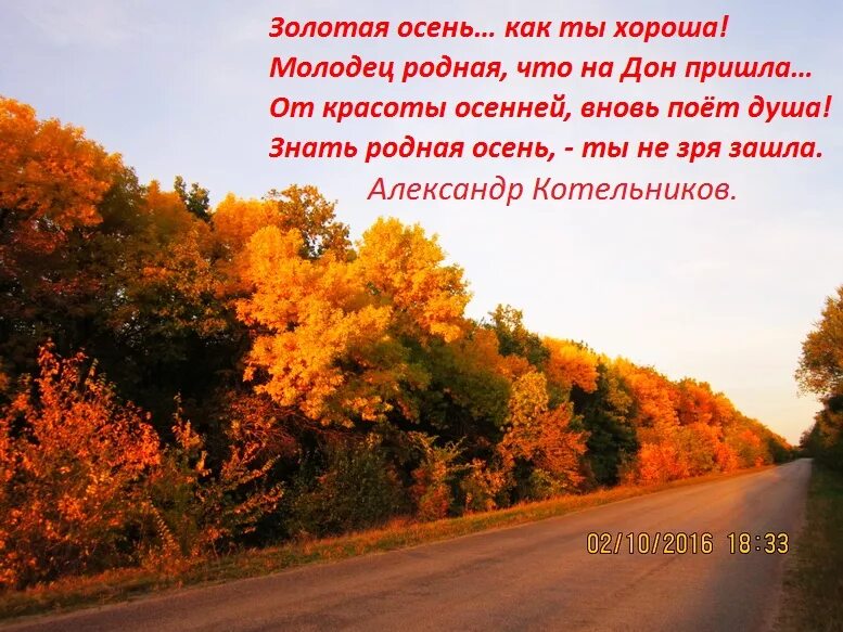 Природа осенью текст