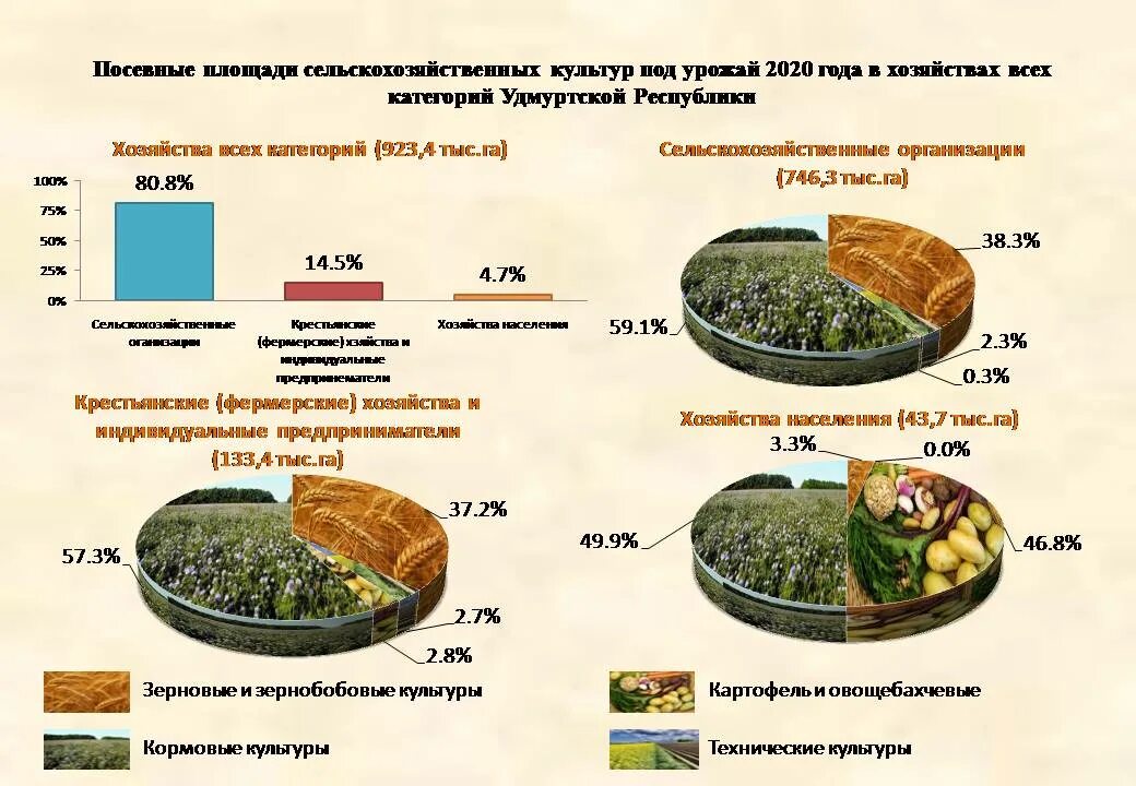 Наибольшую площадь в структуре сельскохозяйственных земель занимают. Структура посевных площадей. Структура посевных площадей технических культур. Посевные площади сельскохозяйственных культур. Структура посевных площадей России.