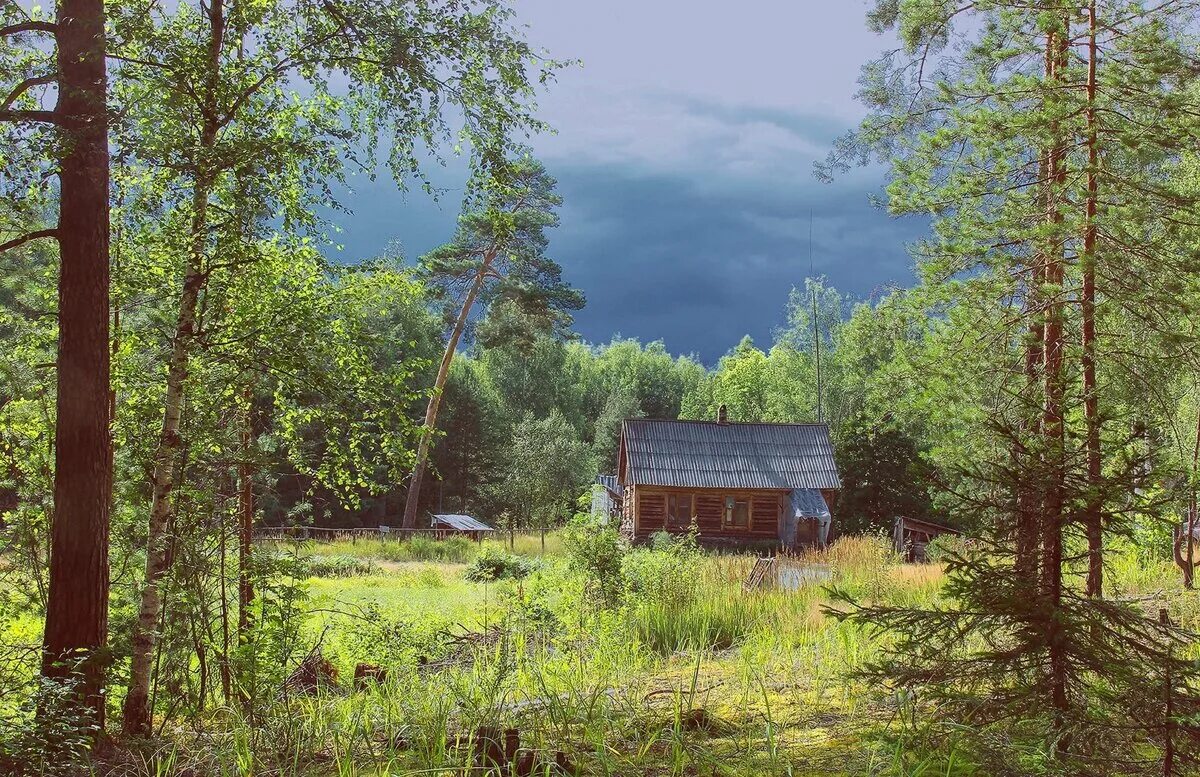 Номер мещеры. Лесное Ялтуново Шацкий район Рязанская область.