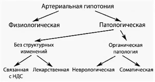 Классификация артериальной гипотонии. Механизм развития артериальной гипотонии. Острая артериальная гипотензия патогенез. Физиологическая артериальная гипотензия.