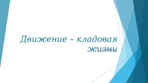 Кладовая жизни