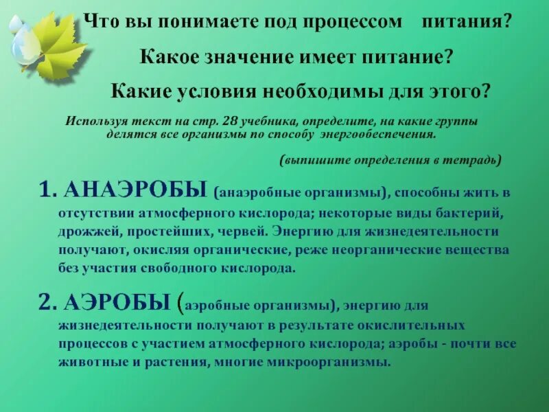 Организм способный жить при отсутствии кислорода. Анаэробы питание. Анаэробные растения. Организм способный жить без кислорода. Анаэробные растения примеры.