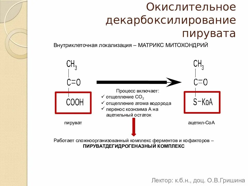 Декарбоксилирование ПВК реакции. Образование ацетил КОА из пировиноградной кислоты. Схема реакции окислительного декарбоксилирования пирувата. 4) Окислительное декарбоксилирование пировиноградной кислоты.