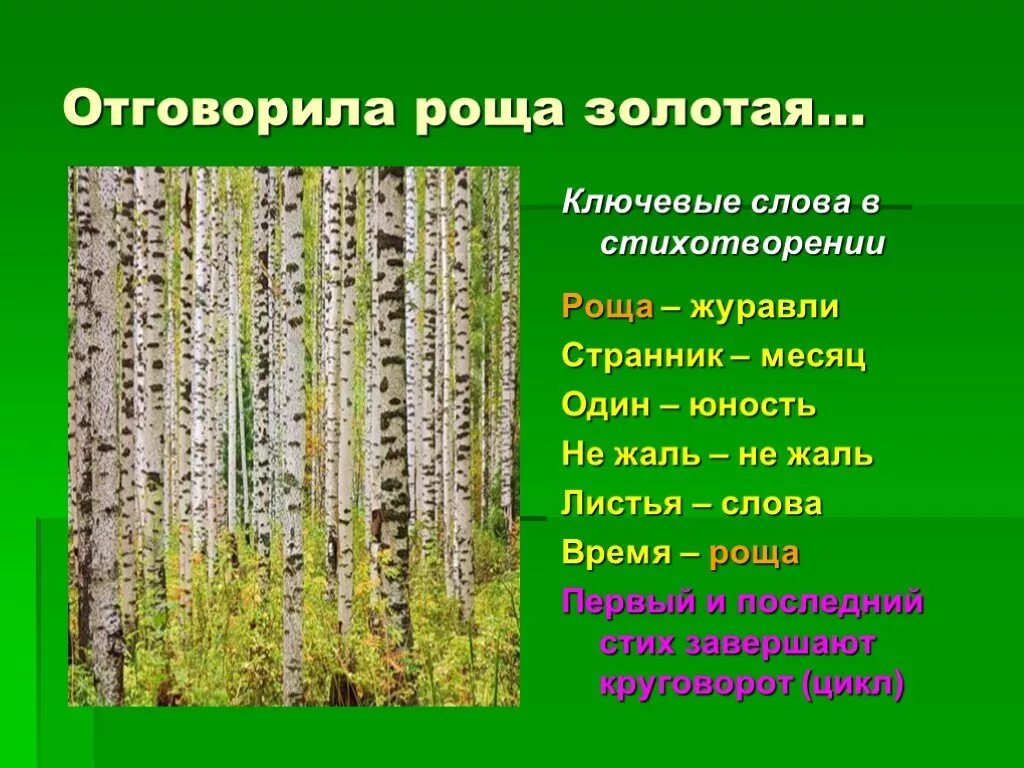 Березовые рощи морфологический анализ. Отговорила роща Золотая. Отговорила роща Золотая ключевые слова. Стихотворение Отговорила роща. Отговорила роща Золотая слова.