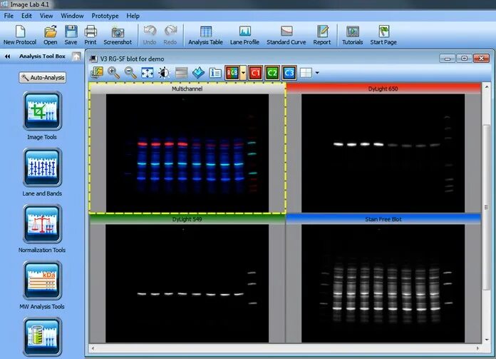 Doc lab. Image lab. lab software. image lab bio rad. image lab blot.