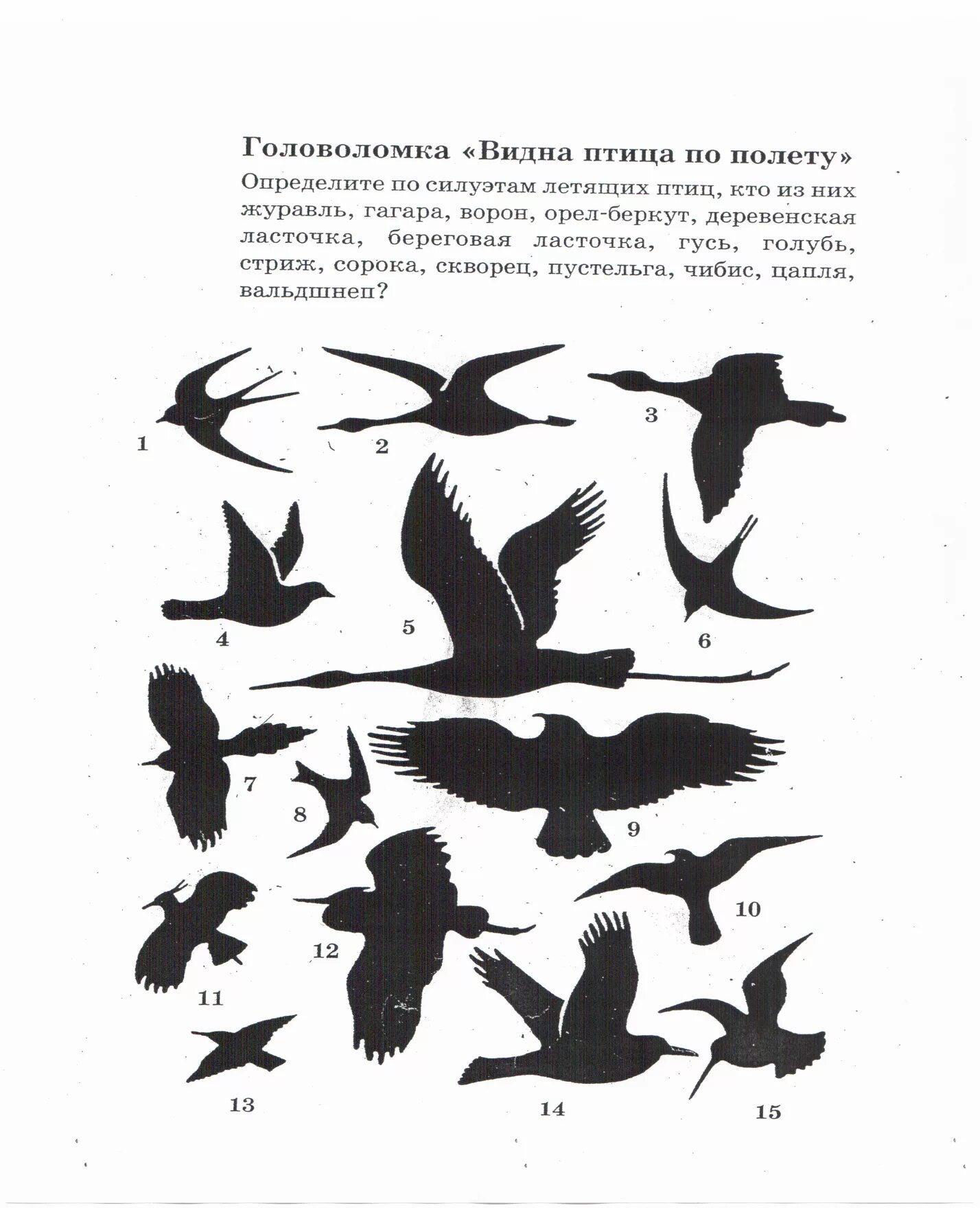 Видна по полету. Силуэты птиц в полете с названиями. Силуэты птиц в полете для определения. Птицу видно по полету. Головоломка видна птица по полету.