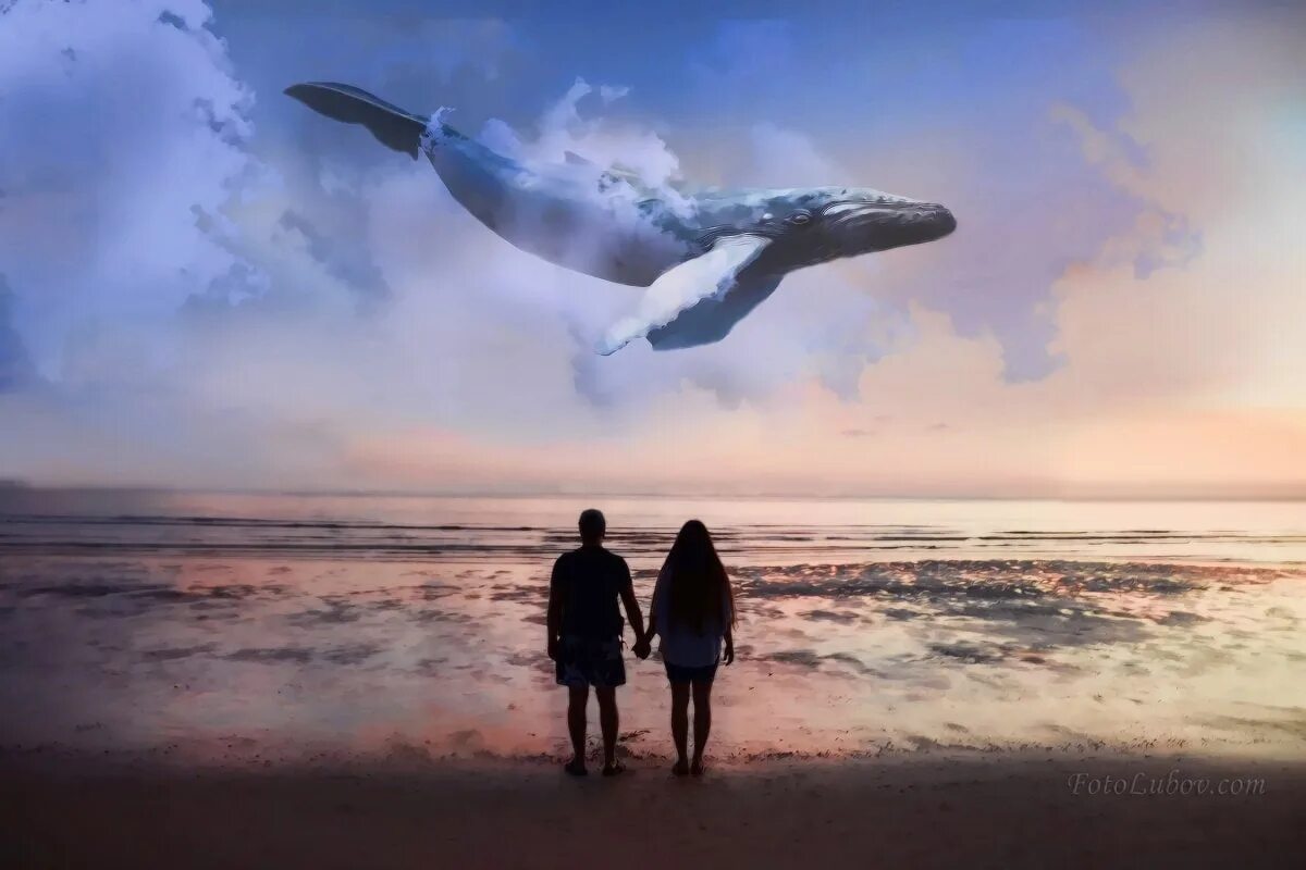Летать насколько. Небесный кит Геншин. Киты в небе. Летающий кит. Кит в облаках.