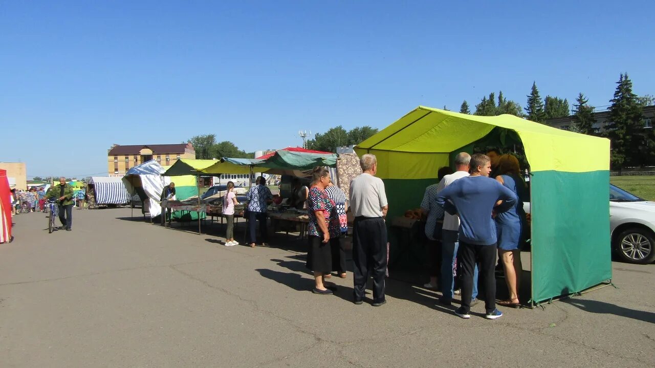 П дмитриевка никифоровский район. Дмитриевка Никифоровский район. Дмитриевка Тамбовская область Никифоровский. РП Дмитриевка Никифоровского района. Тамбовская область Никифоровский район р.п Дмитриевка ЗСК.