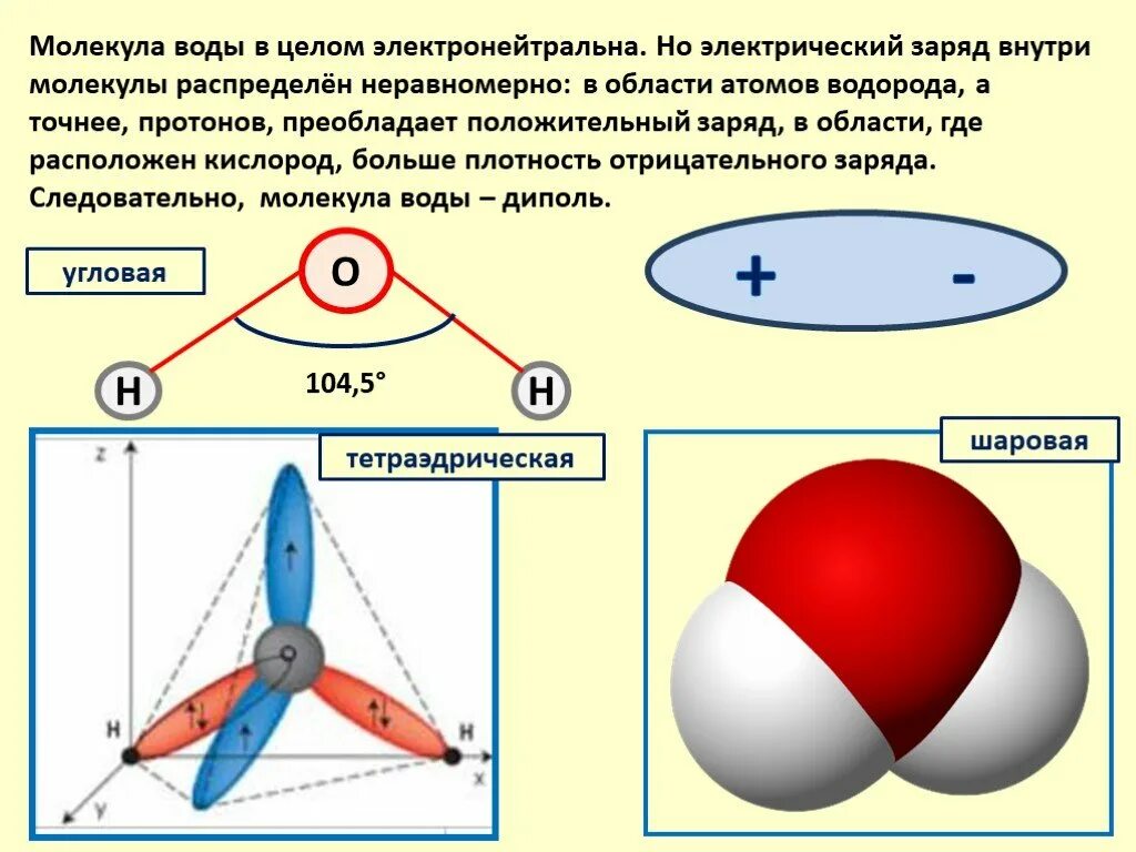 Молекула воды. Заряд молекулы воды. Распределение заряда в молекуле воды. Молекула воды диполь.