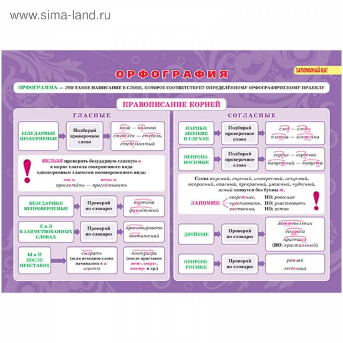 Что такое орфография в русском языке 5 класс. Повторение орфография 6 класс. Повторение орфографии по русскому языку. Орыорграмма в приставках. Русский язык.