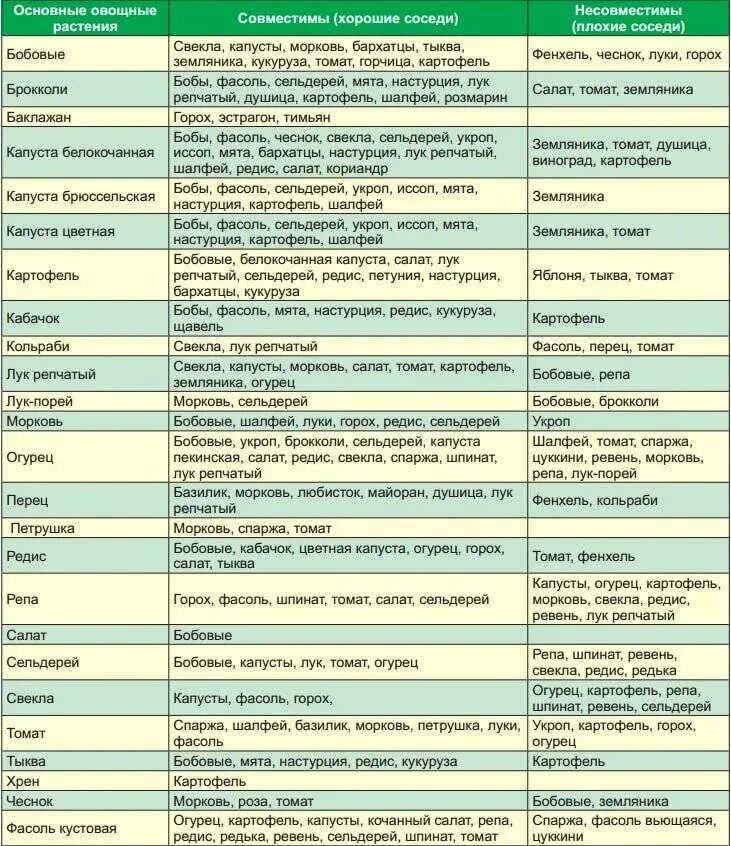 Что сажать после перца на следующий год. Совместимость овощных культур при посадке на грядке таблица. Совместимые посадки овощей в огороде таблица. Соседство овощей на грядках таблица совместимости. Таблица совместимости растений на огороде соседство овощей.