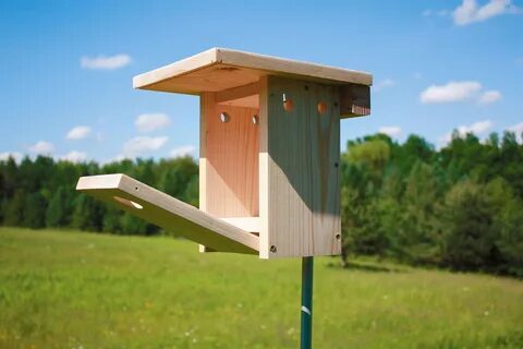 Build nesting boxes