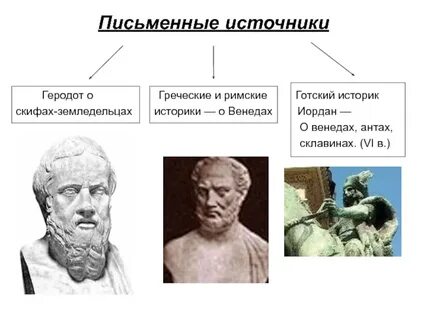 О каких сторонах жизни скифов сообщает геродот