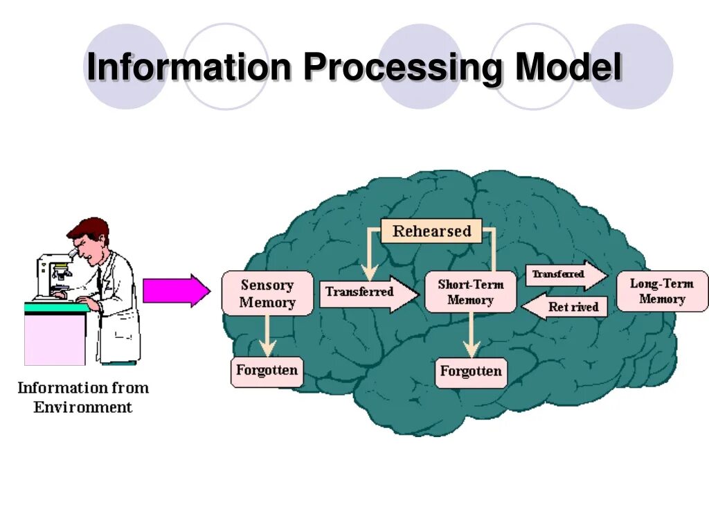 Short memory. Short term Memory. Long short term Memory. Information processing. Cognitive Psychology and Memory.