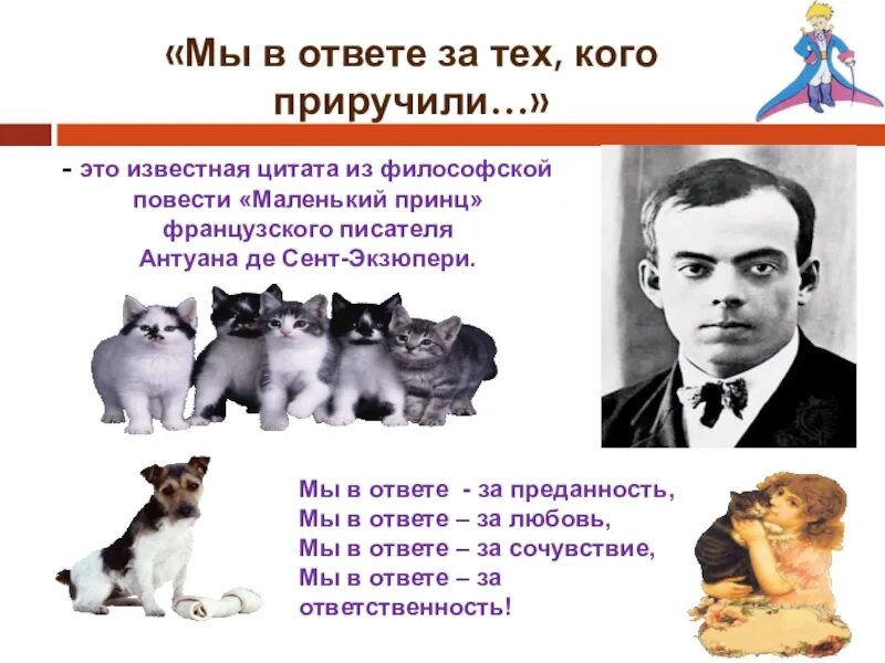 Мы в ответе за тех кого приручили. Мы в ответе за тех кого пр ручили. Мы в ответе за тех кого приручили высказывания. Мы в ответе за тех кого мы приручили.