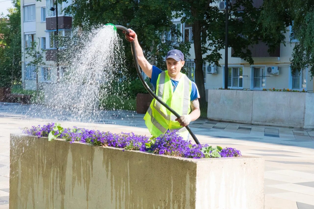 лыткарино достопримечательности. лесопарк лыткарино. школа 6 лыткарино. благоустройство дворов ижевск. лесопарк лыткарино.