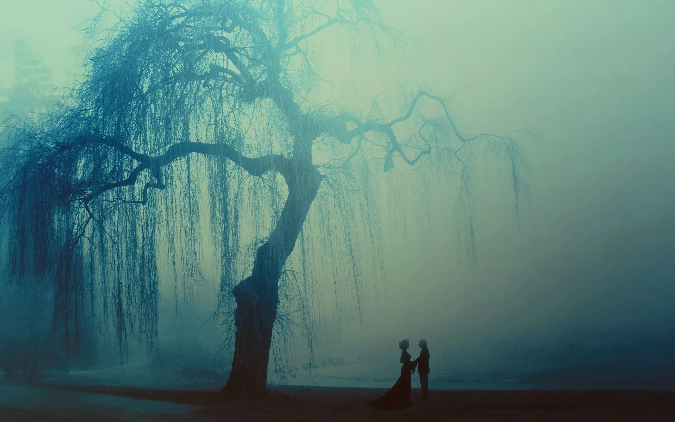 Деревья в тумане. Печальный пейзаж. Печаль природа. Грустный пейзаж.