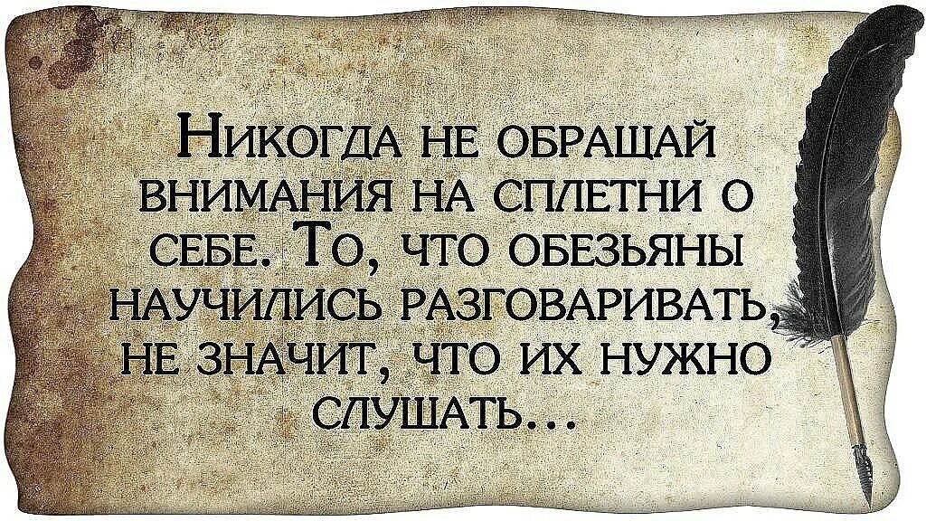 Между случайностью и неизбежностью. Афоризмы про сплетни. Афоризмы про судьбу. Цитаты про слухи. Фразы.