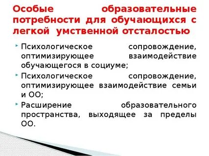 Обучающихся с легкой умственной отсталостью