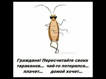 Отзывы про тараканов