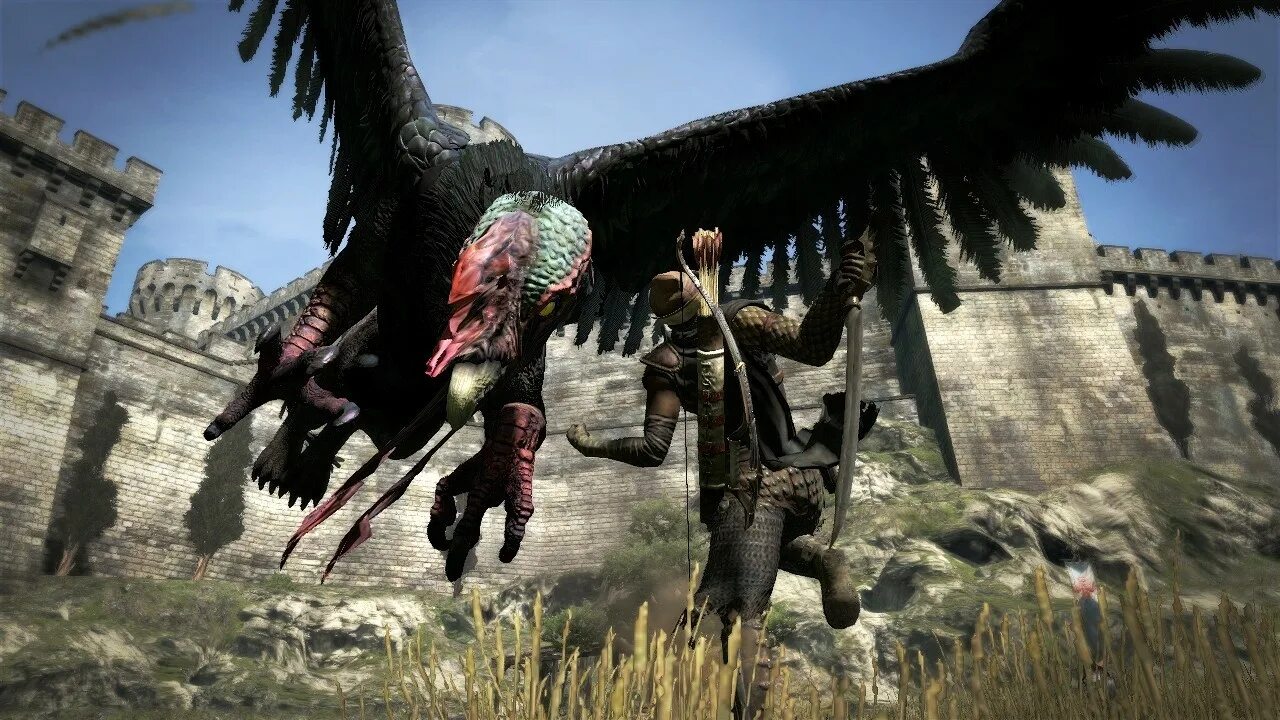 Драгон догма 2 цена. Догма дракона игра. Dragons Dogma 1. Драгонс Догма ps3. Драгон Догма 2.