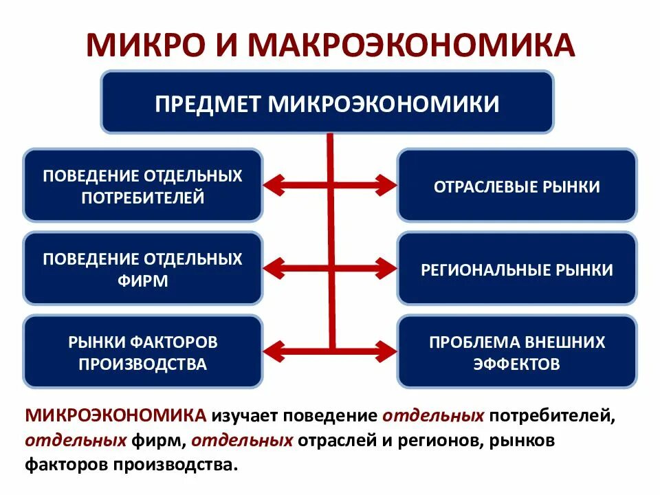 Наука изучающая поведение участников хозяйственной деятельности