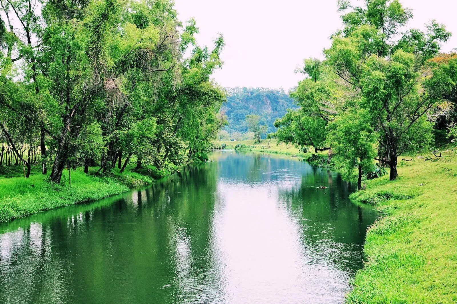 Реки. Международные реки.