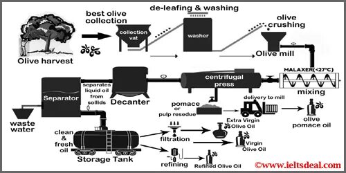 Common process. Diagram IELTS task 1. IELTS writing task 1 process. IELTS writing task 1 process Olive Oil producing. Process diagram IELTS writing 1.