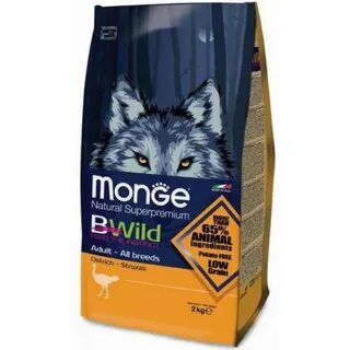 Monge bwild