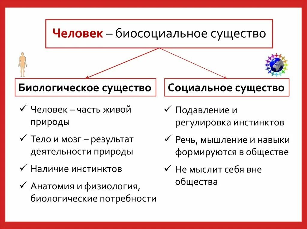 Как стать культурным человеком обществознание кратко. Человек биосоциальное существо схема. Человек биосоциальное существо Обществознание. Яелоаеу биосойиальнте сущкство. Био и соц в человеке.