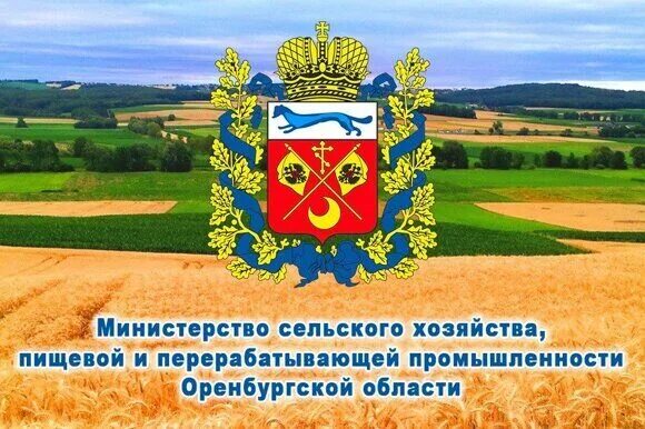 автобаза министерства сельского хозяйства оренбургской области. зам министра сельского хозяйства оренбургской области курманбаев. заместитель министра сельского хозяйства оренбургской области. сайт мсх оренбургской. оренбург ткачёв.
